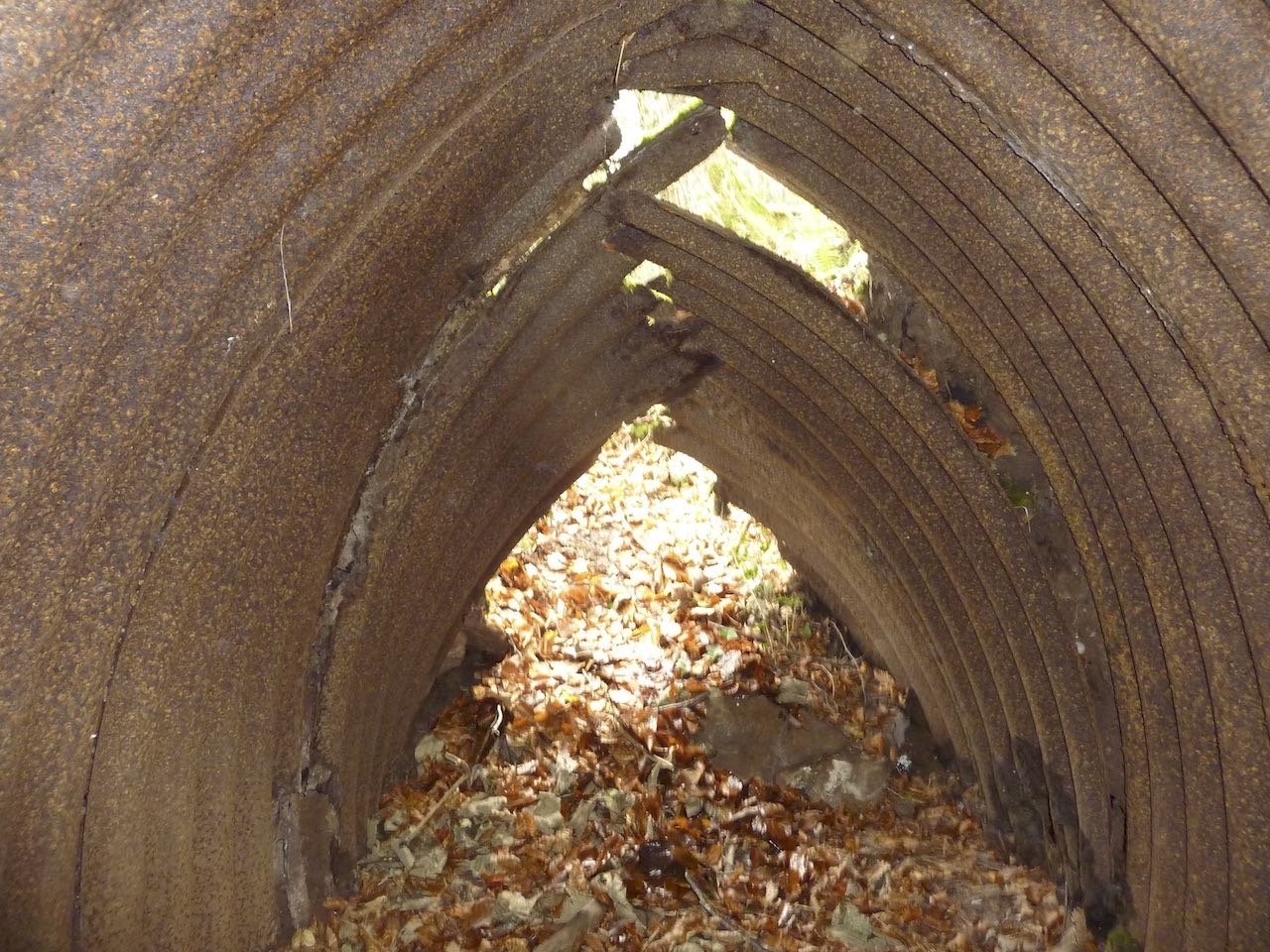 Dinas Powys Patrol British Resistance Archive